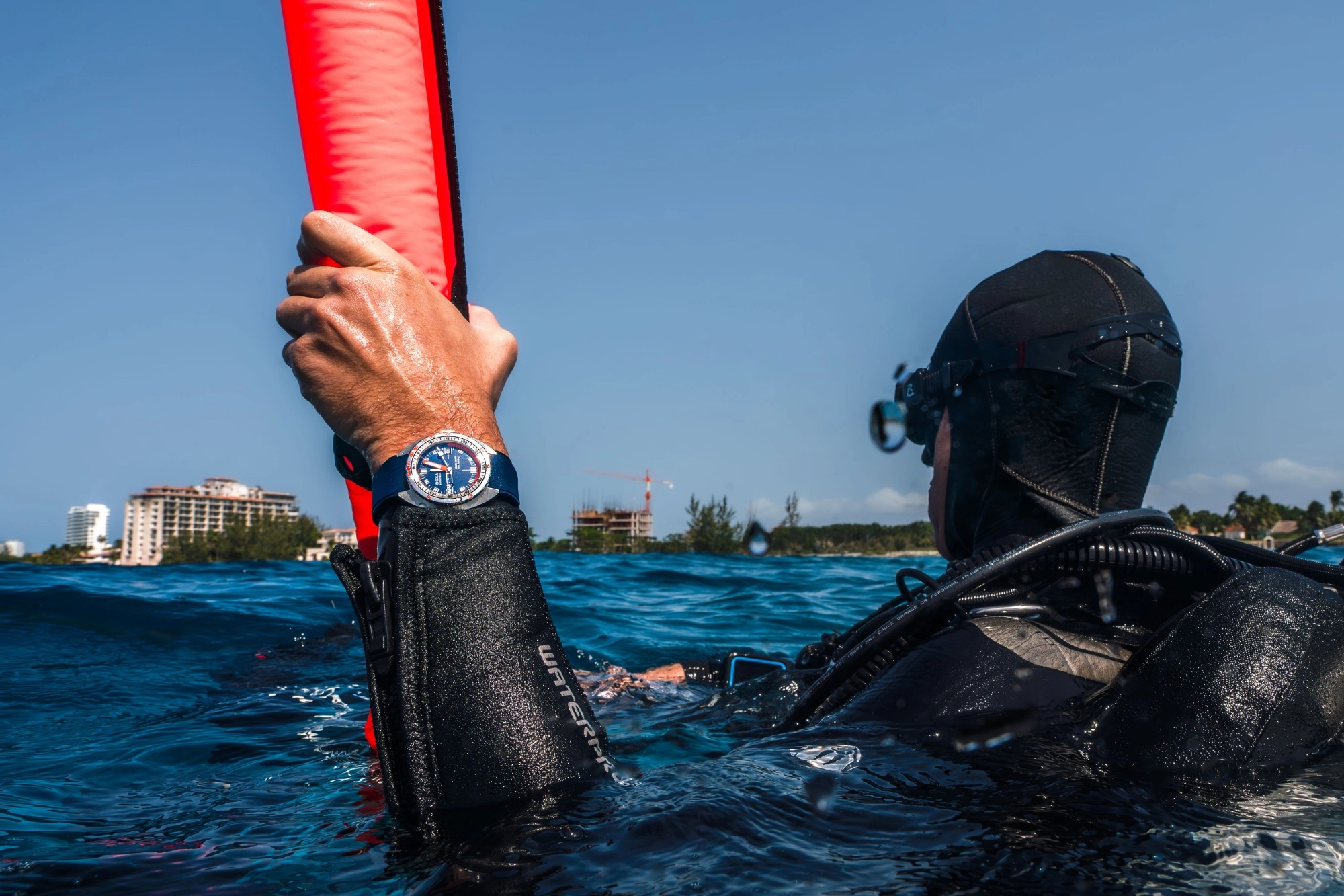 Diver watches for Father's Day